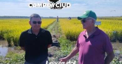 Productores arroceros de España visitaron Entre Ríos y destacaron similitudes con la región