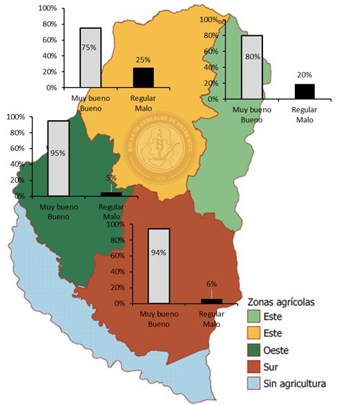 Finaliza la siembra de trigo y lino en Entre Ríos - Campo y Ciudad Noticias