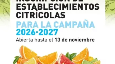 ¿Vas a exportar cítricos? inscripción para la campaña 2026–2027
