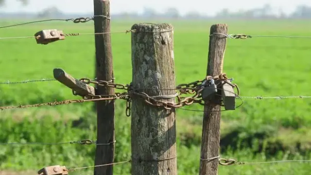 Michel, Marclay y Bordet votaron a favor de la ley de Vandalismo rural