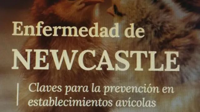 Medidas sanitarias por detección de enfermedad de Newcastle en granjas avícolas de Brasil.