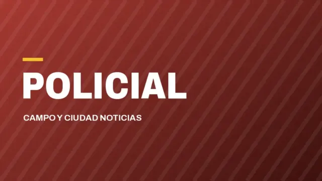 Abigeato: sorprendieron a dos jóvenes que huían de un campo con un ternero faenado